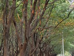 -东怡大酒店(上海科技馆店)