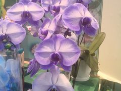 -盒马鲜生(红莲店)