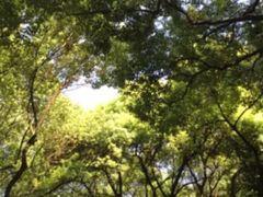 -共青国家森林公园-售票处