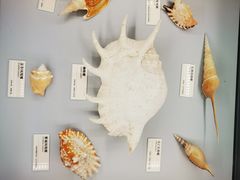 -天津古林古海岸遗迹博物馆