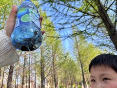 -泰州凤城河风景区-泰山公园