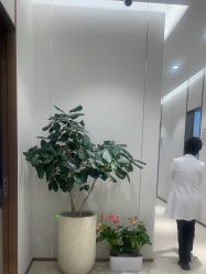 -禾丽康美医疗美容医院