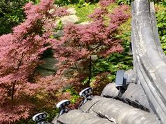 -南北湖风景区