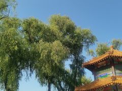 -北陵公园