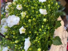 -循礼门鲜花花市(武汉循礼门店)