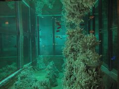 -肇庆奥威斯酒店