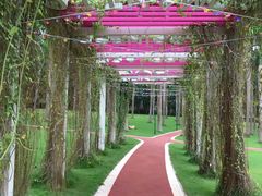 -南宁花花大世界景区