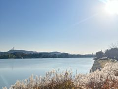 -羊山湖公园