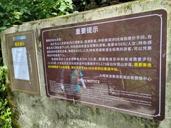 -苍山感通索道