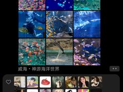 -威海华夏城景区