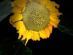 -外滩·云南人家(昆明旗舰店)