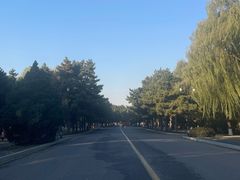 -北陵公园