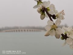 -颐和园