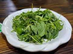 -伊犁羊杂馆