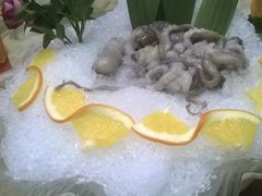 WP_20150518_036-渔傅·蓝海岸霞浦海鲜(正祥店)
