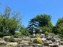 -牛首山文化旅游区