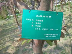 android_upload_pic-辽宁大学(崇山校区)