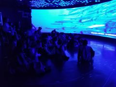 -同济大学四平路校区深海探索馆