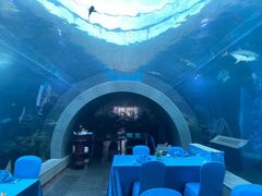 -海棠湾洲际-涛·海底餐厅·美人鱼·自助餐·海底隧道