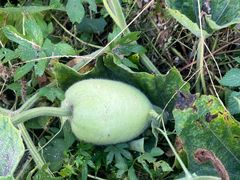 -百里峡七彩艺术小镇