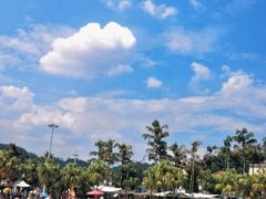 -重庆海昌加勒比海水世界