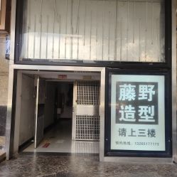 -藤野造型