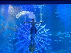 -波塞冬旅游度假区