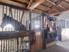 -北京群众马术培训基地