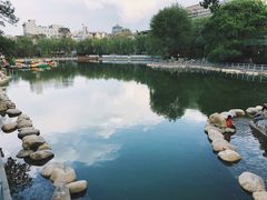 -莲湖公园