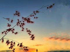 -华侨城东方花园会所