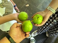 -紫光园(劲松店)