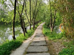 -西溪国家湿地公园