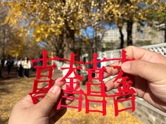 -辽宁大学(崇山校区)