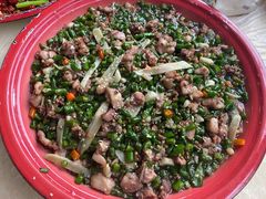 -东吴霸王兔(松青路店)
