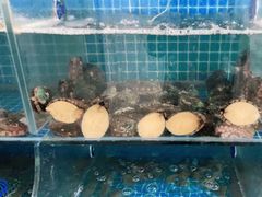 水产区-宾朋海鲜特色美食餐厅·纯手工鲅鱼水饺(兴海路店)