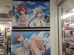 -秋叶原电器街