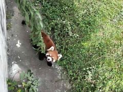 -合肥野生动物园
