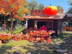 -HERRE·FARM 赫尔露营农场·团建聚会包场