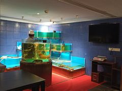 -沈灶河豚宴·河豚融合餐厅(汉中路店)