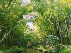 -同里国家湿地公园