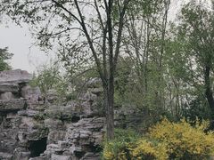 -森林公园(尖草坪区)