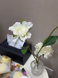 -上海玫瑰医疗美容医院