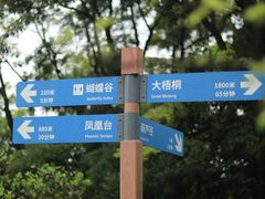 -梧桐山风景名胜区