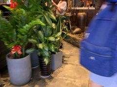 -同仁四季椰子鸡(宝安壹方城店)