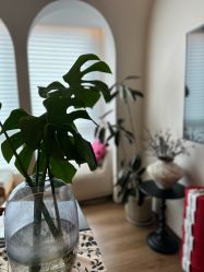 -栖SPA·ONDA ·海菲秀·皑皑科技美肤中心