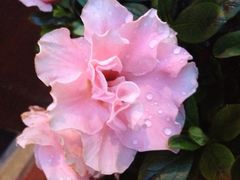 -Together·泰式按摩精油SPA(天山店)