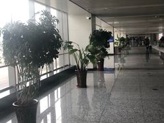 -石家庄正定国际机场-T2航站楼