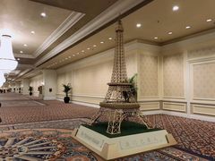 -澳门威尼斯人综合度假区