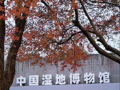 -中国湿地博物馆