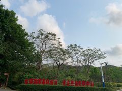 -中山市树木园